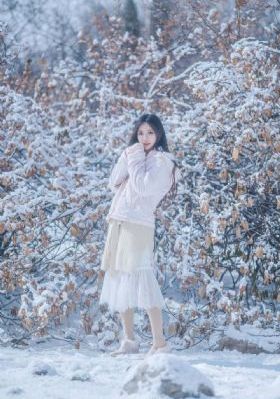 月光宝盒12_DVDHD高清在线观看